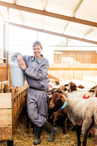 istock Smiling female farmer standing near sheep 1899989931