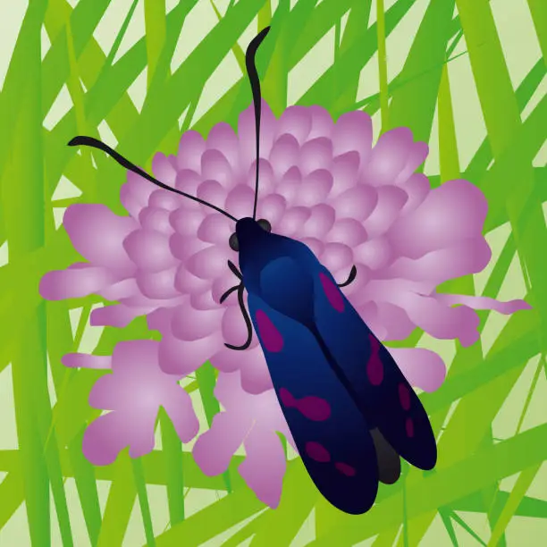 Vector illustration of Butterfly sitting on a flower, vector illustration