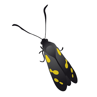 Butterfly sitting on a flower, vector illustration