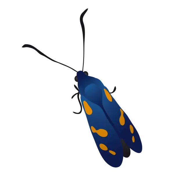 Vector illustration of Butterfly sitting on a flower, vector illustration