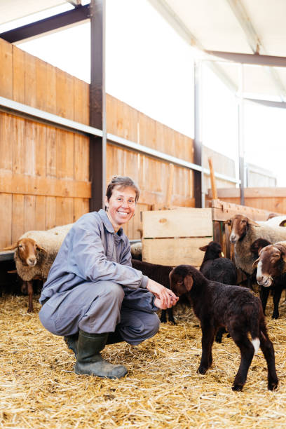 istock Smiling owner sitting near lamb on farm 1899993006
