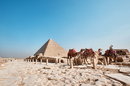 Giza, Egypt - December 24 2023: The Great Pyramid Khufu (Pyramid of Cheops) is the oldest and largest of the three pyramids in the Giza and camels