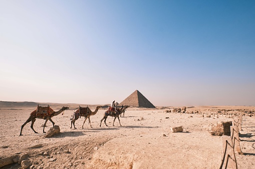 Giza, Egypt - December 24 2023: The Pyramid of Menkaure, the smallest of the three pyramids of Giza Plateau and camels , Cairo