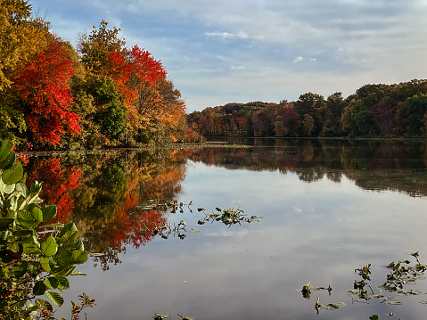 Autumn landscape with lake, trees and cloudy sky reflected in water.  View of the Brainerd Lake in autumn in Cranbury, New Jersey, United States.