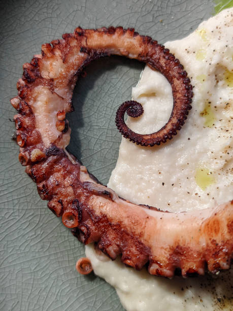 istock Vegetable sauce paired with grilled octopus tentacles 1900058161