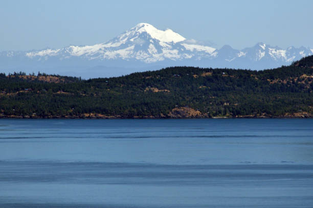 Mount Baker Photograph of Mount Baker taken from the top of Mount Douglas, on Vancouver Island, B.C. Canada. Taken at 11:52 on the 5th June 2023.

Mount Baker (Nooksack: Kweq' Smánit; Lushootseed: təqʷubəʔ), also known as Koma Kulshan or simply Kulshan, is a 10,781 ft (3,286 m) active glacier-covered andesitic stratovolcano in the Cascade Volcanic Arc and the North Cascades of Washington in the United States. mt baker stock pictures, royalty-free photos & images