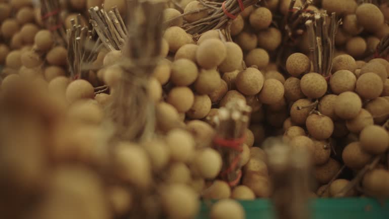 Longan.