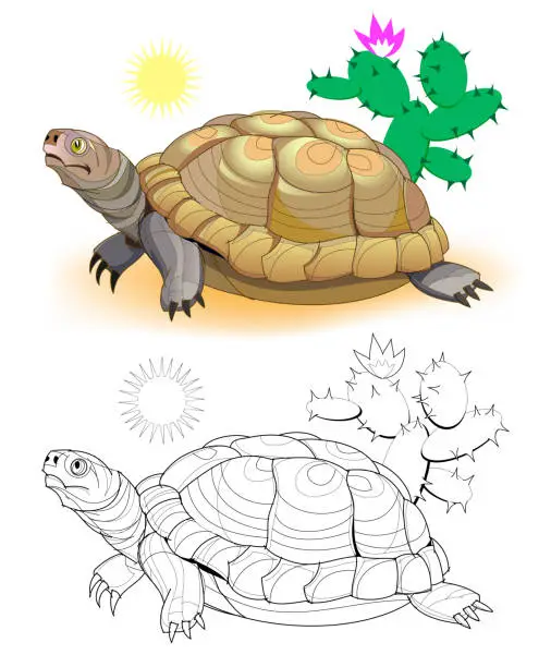 Vector illustration of Colorful and black and white page for coloring book. Hand-drawn illustration of funny turtle in African desert. Worksheet for children and adults. Vector cartoon image.