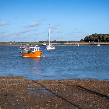 Fishing and leisure boats moored in the River Deben at low tide. Across the river is the tiny hamlet of Bawdsey and the photograph is taken from the boatyard at Felixstowe Ferry in Suffolk, Eastern England, on a sunny day.