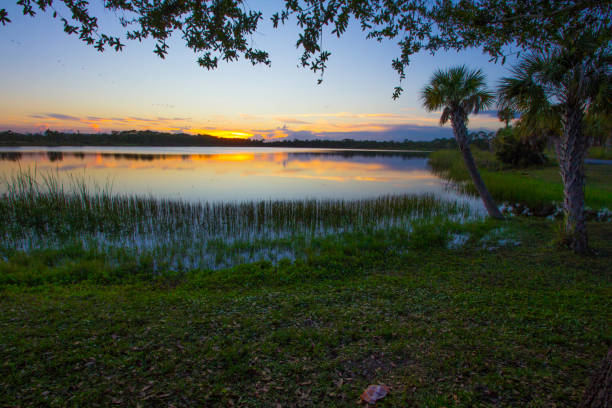 istock George LeStrange Preserve, Fort Pierce, Florida 1900159960