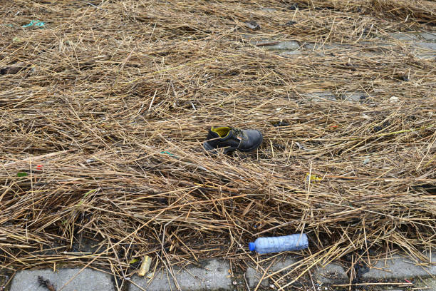 puerto deportivo de blankenberge en invierno a finales de diciembre - environmental conservation cleaning rubble recycling bin fotografías e imágenes de stock