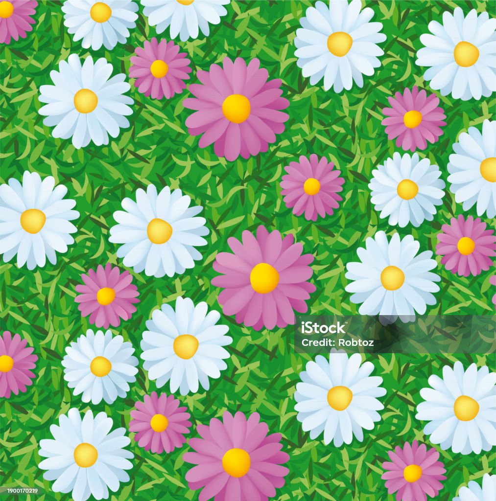Repetitive Floer Pattern Field Background Full Of Flowers Repetitive Pattern Vector Illustration ...