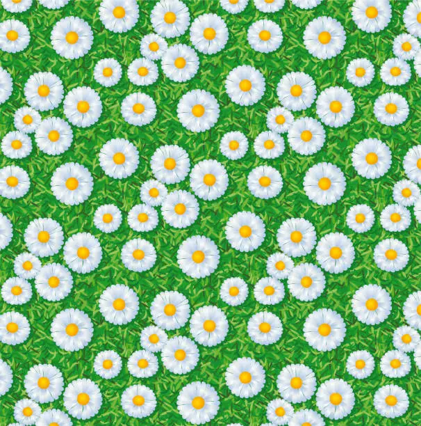 Vector illustration of Field background full of flowers, repetitive pattern, vector illustration