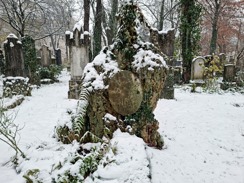 The Alter Südfriedhof (Old South Cemetery) is a cemetery in Munich, Germany. It was founded by Duke Albrecht V as a plague cemetery in 1563. The image shows several graves captured during a snowy day in winter season.