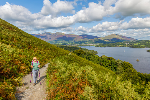 Senior female hiker walking with poles on the circular trail around Derwent Water in the Lake District of Cumbria, England.