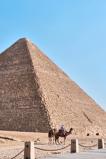 Giza, Egypt - December 24 2023: The Great Pyramid Khufu (Pyramid of Cheops) is the oldest and largest of the three pyramids and camels in the Giza