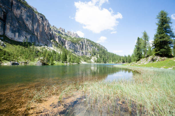 istock Federa alpine lake landscape, italian dolomites panorama 1900294949
