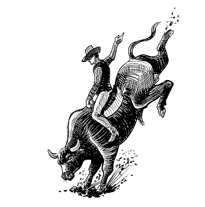 Rodeo cowboy riding a bull. Hand-drawn ink black and white illustration