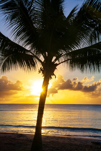 istock Sunsets of Barbados 1900418472