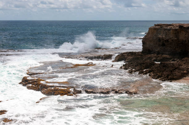 istock Dramatic Coastline of Barbados 1900420527