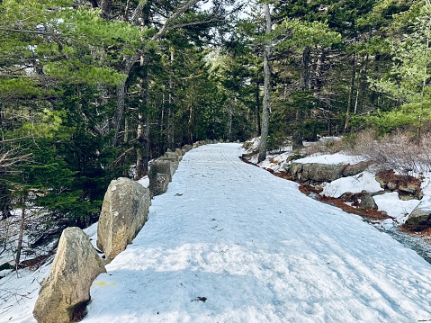 Snow on Carriage Road Acadia National Park