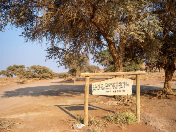 Sossusvlei, Namibia - August 24, 2022: The image shows a rustic wooden sign under the shade of a large tree, indicating that only 4x4 vehicles are permitted beyond this point, with a fine for non-compliance