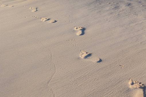 Footprints lead across the sand of an idyllic beach, back lit by the sun at dawn or dusk.