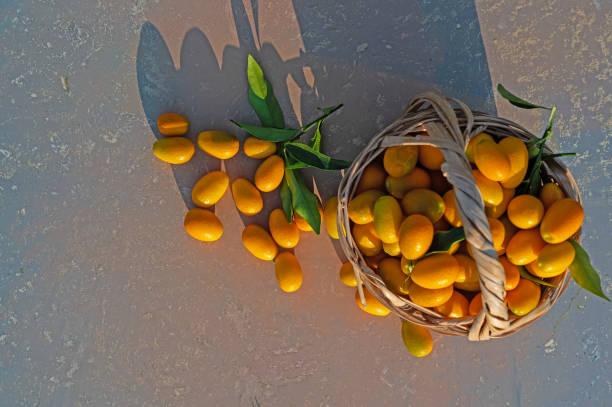 istock Fresh kumquats from the tree in a basket. 1900517749