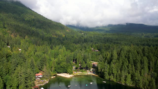 Aerial view of forest, mountains and coastline