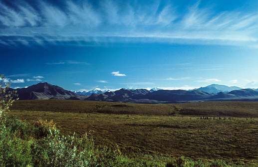 Distant view of Alaska Range with tundra fields in the foreground.

Taken in Denali National Park, Alaska, USA