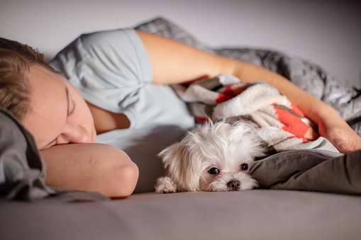 Young woman sleeping with her dog, the dog is looking at the camera