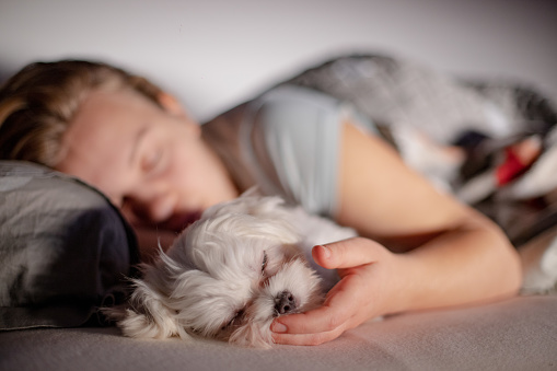 Young woman and dog sleeping together