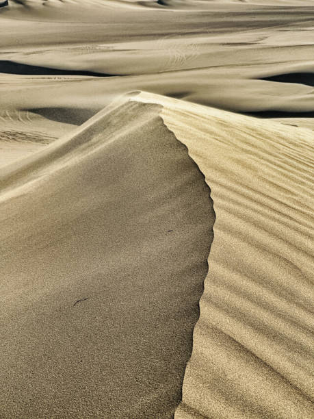 istock Sand Dunes At Huacachina 1900724152
