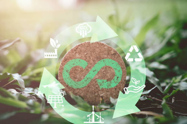 istock infinity symbol on wooden and green grass with environment ecology include reuse reduce recycle carbon reduction and alternative consumption energy for circular economy and sustainable concept. 1900729310
