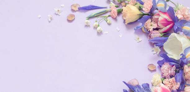 istock beautiful spring flowers on paper background 1900739348