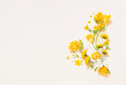 Studio shot of spring flowers floating on a cream background. Summer aesthetic concept.