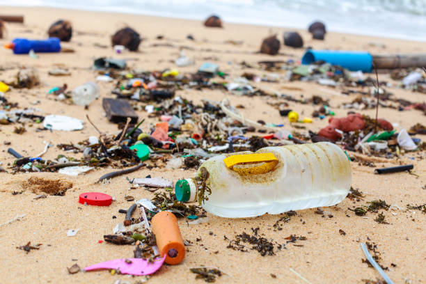 istock Garbage on sea beach, dirty ocean water, environmental pollution, ecological problem, waste management, junk recycle, unsorted rubbish, plastic bag, glass bottle, metal can, trash, refuse pile, litter 1900828304