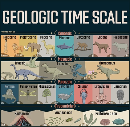 Geologic time scale colorful poster.  From Precambrian to Holocene, animal evolution.