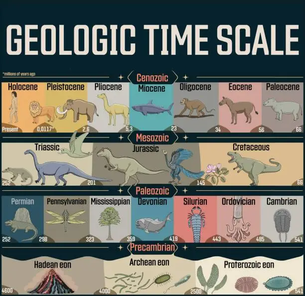 Vector illustration of Geologic time scale colorful poster