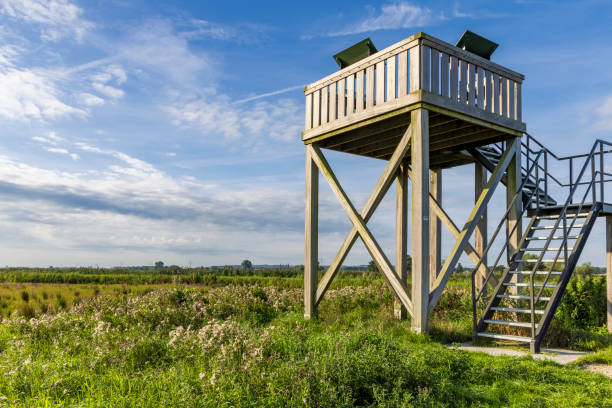 Viewing platform in Nature area Binnenveld  between Wageningen en Bennekom Gelderland province in The Netherlands