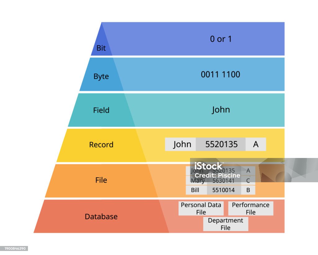 Bit Field Sql Data Hierarchy Of Bit Byte Field Record File Database Stock ...