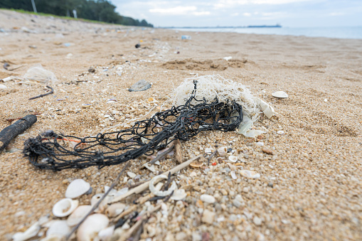 Various types of plastic waste disposed by human on a sea beach leading to the environmental problems and affecting the coastal life ecosystem.