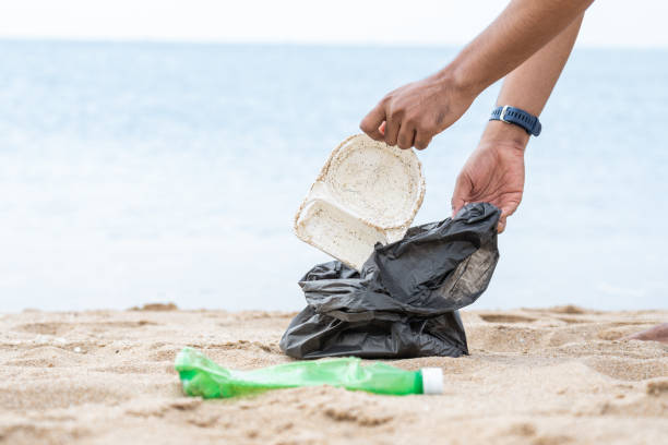 istock Unrecognized individual collecting the plastic waste contaminated on a sandy beach into the plastic waste disposal bag. The action demonstrating the care of environmental conservation and social issue. 1900870699