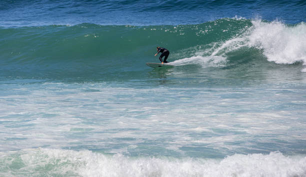 Surfer at Victoria Bay stock photo