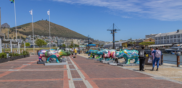 People stand around a path along the water where a number of painted rhinos have been place to encourage conservation efforts at the Victoria and Albert Waterfront in Cape Town, South Africa. Restaurants and shops line the far side of the river, with a boat anchored alongside. Part of the city can be seen at the end of the pathway.