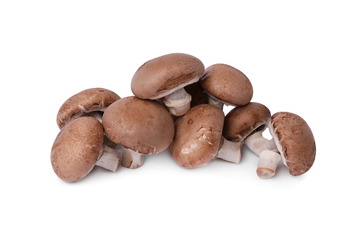 Many fresh champignon mushrooms isolated on white