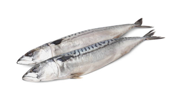 istock Two tasty salted mackerels on white background 1900985107