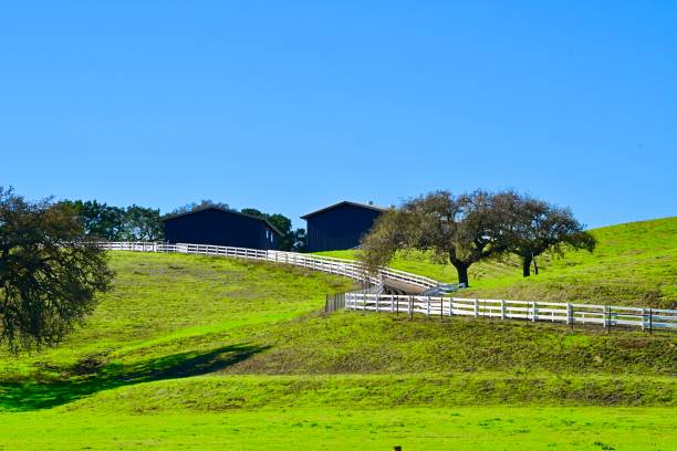 istock Central Coast Landscape of California 1900993985