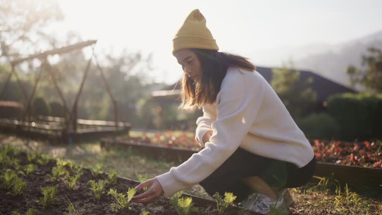 Precious moment of a woman taking care of organic plants