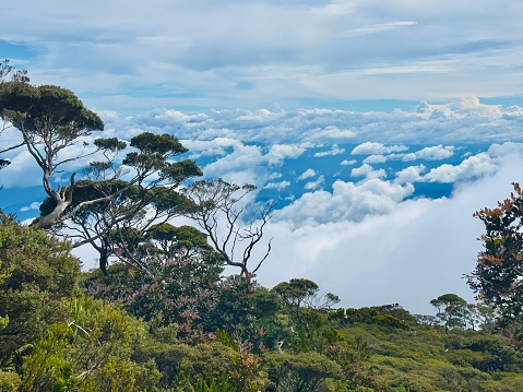 view at the top of Mount Kinabalu, the third highest mountain in Southeast Asia